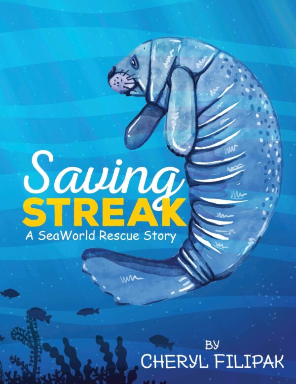 Saving Streak